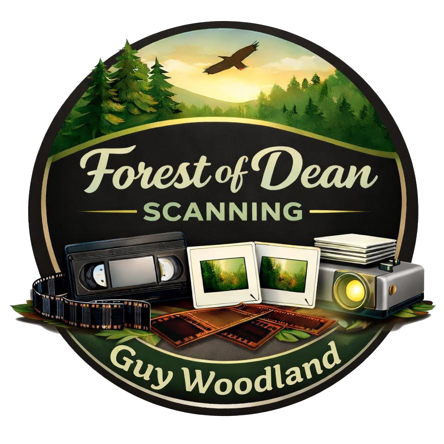 graphic logo of a forest sceen